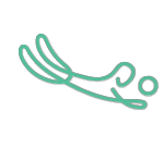 Entrenador/a Deportivo/a en Vóleibol